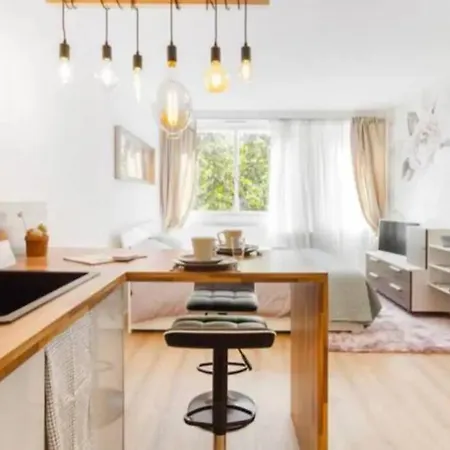 Grand Studio*victor Hugo*centre